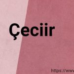 çeciir