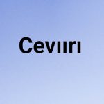 cevıırı