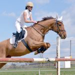 show jumping at kentuckythreedayevent.com