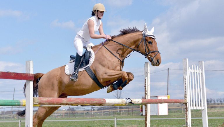 show jumping at kentuckythreedayevent.com