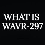Everything You Need to Know About Wavr-297
