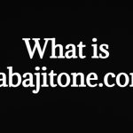 babajitone.com?