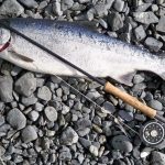 halibut fishing in Juneau, AK