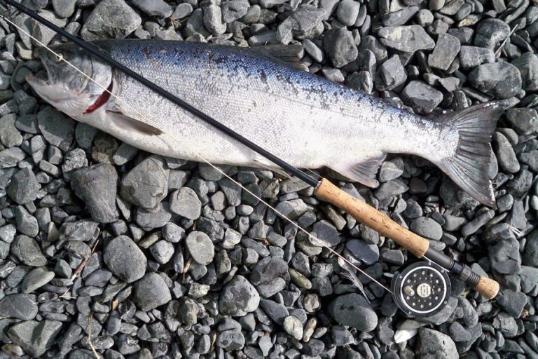 halibut fishing in Juneau, AK