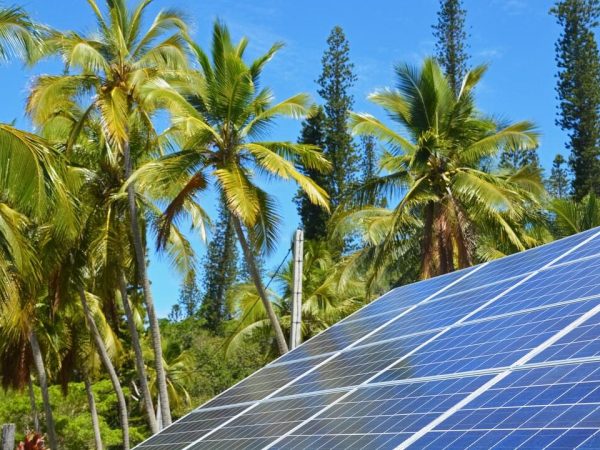 Green Living Is Easy: A Beginner's Guide to Solar Panel Kits for Home