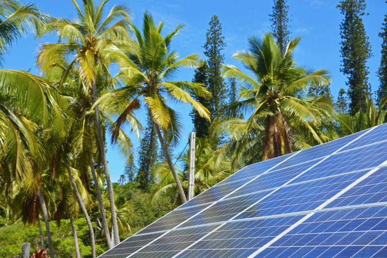 Green Living Is Easy: A Beginner's Guide to Solar Panel Kits for Home