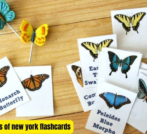 A Beginner's Guide to the Butterflies of New York Flashcards