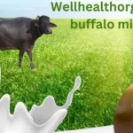 Wellhealthorganic-buffalo-milk-tag