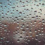 How Humidity Affects Your Home Environment: What You Need to Know