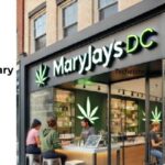 Maryjays DC Weed Dispensary Juice Bar Washington Reviews