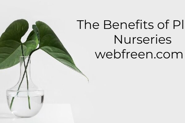 The Benefits of Plant Nurseries webfreen.com