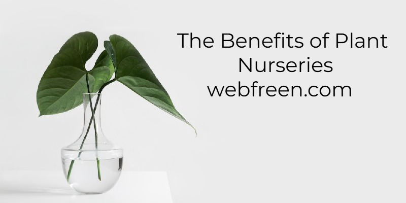 The Benefits of Plant Nurseries webfreen.com