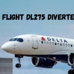 Everything About Delta Flight Dl275 Diverted Lax