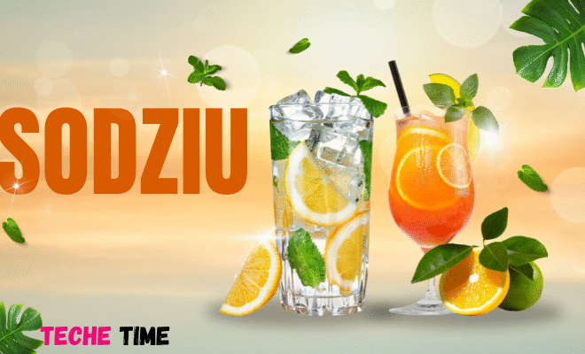 Sodziu Explained: Unique Variations from Around the Globe