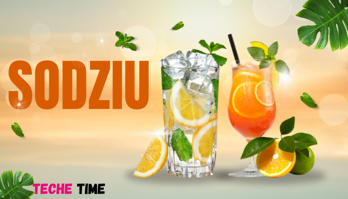 Sodziu Explained: Unique Variations from Around the Globe